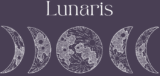 lunarismarketingagnecy